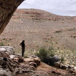 36_CB_fieldwork_-_vistas_original